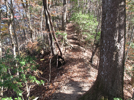 20171116hike (51)